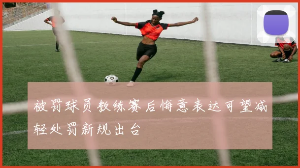 被罚球员教练赛后悔意表达可望减轻处罚新规出台