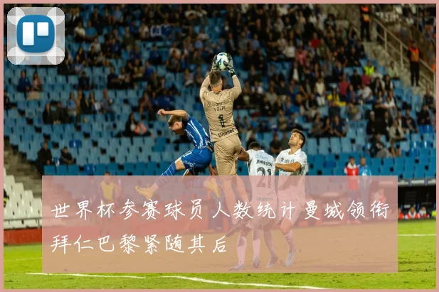 世界杯参赛球员人数统计曼城领衔拜仁巴黎紧随其后